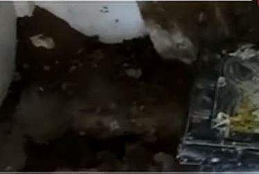 ശിവ ക്ഷേത്രത്തില്‍ നിധി തേടി മോഷ്ടാക്കള്‍ കുഴിയെടുത്തപ്പോള്‍