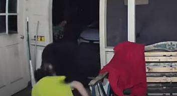 വളര്‍ത്തുനായകളെ രക്ഷിക്കാന്‍ കരടിയുമായി ഏറ്റുമുട്ടുന്ന ദൃശ്യം