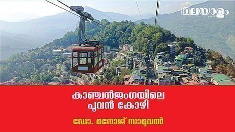 കാഞ്ചന്‍ജംഗയിലെ പൂവന്‍ കോഴി