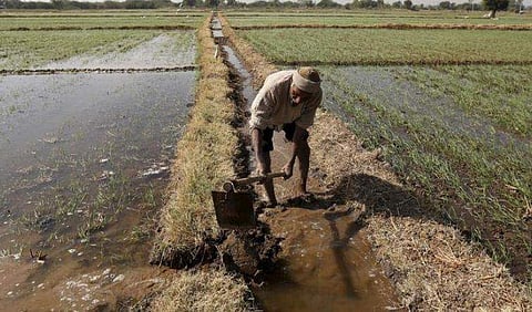 ഫോട്ടോ: ട്വിറ്റർ
