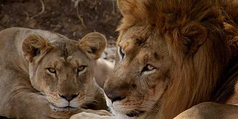 പ്രതീകാത്മക ചിത്രം