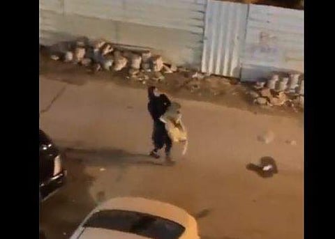 സിംഹത്തെ കൈയിലെടുത്ത് യുവതിയുടെ നടത്തം