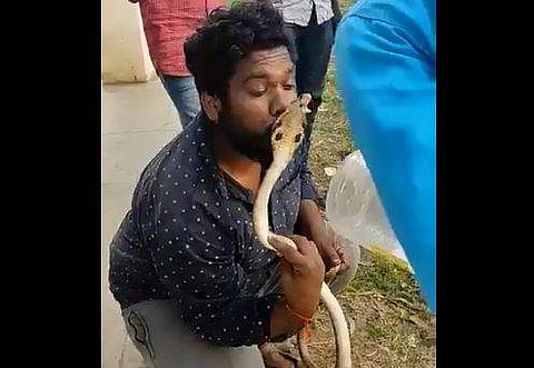 മൂര്‍ഖനെ ചുംബിക്കുന്ന യുവാവ്/ വീഡിയോ ദൃശ്യം