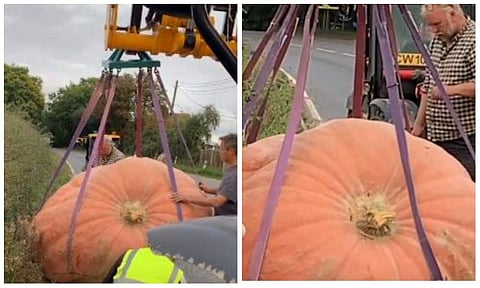 റോഡില്‍ വീണ കൂറ്റന്‍മത്തങ്ങ ഉയര്‍ത്തുന്നു/ വീഡിയോ ദൃശ്യം