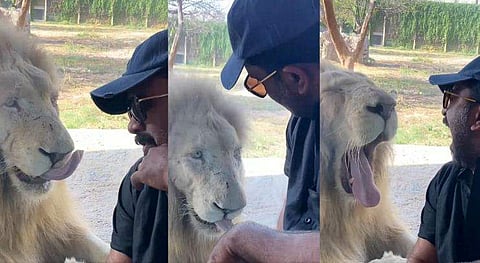 വിഡിയോ സ്ക്രീൻഷോട്ട്