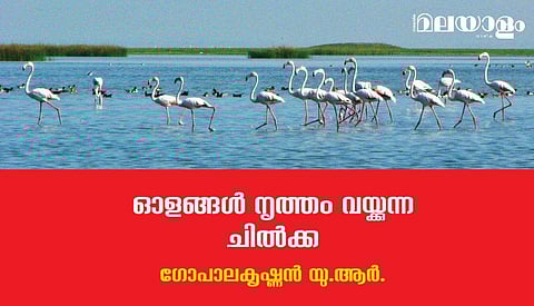 സഞ്ചാരികളുടെ പ്രിയ ഇടം...