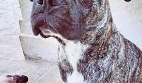 പ്രതീകാത്മക ചിത്രം