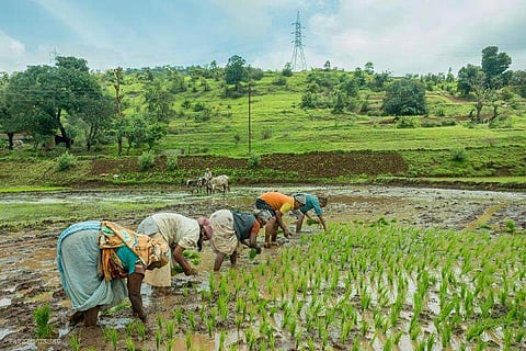 പ്രതീകാത്മക ചിത്രം