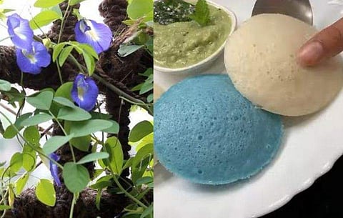 വിഡിയോ സ്ക്രീൻഷോട്ട്