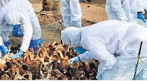 പ്രതീകാത്മക ചിത്രം