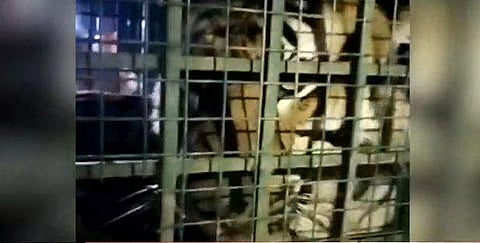 വിഡിയോ സ്ക്രീൻഷോട്ട്