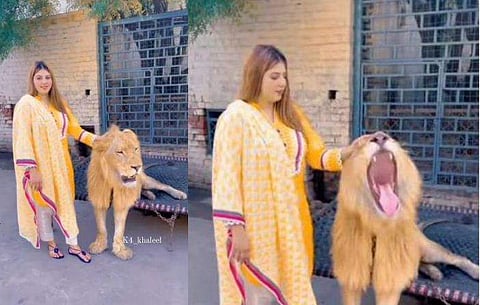 വിഡിയോ സ്ക്രീൻഷോട്ട്