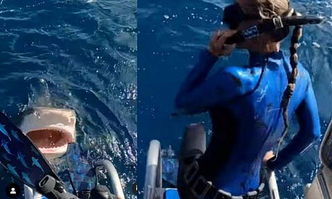 വിഡിയോ സ്ക്രീൻഷോട്ട്