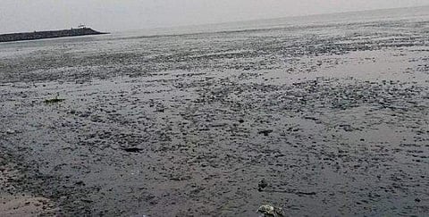 ഫോട്ടോ: ട്വിറ്റർ