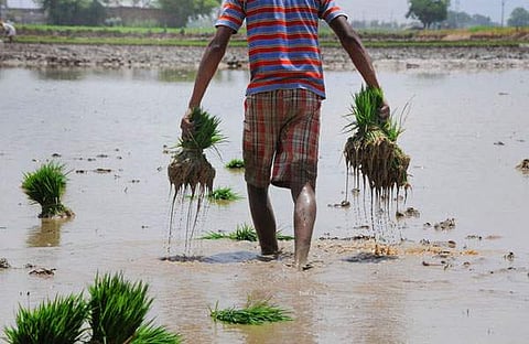 ചിത്രം: പിടിഐ/ഫയല്‍