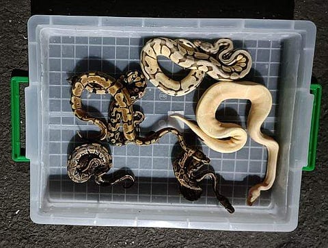 ഫോട്ടോ: എഎൻഐ