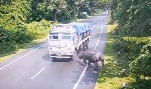 വീഡിയോ ദൃശ്യം