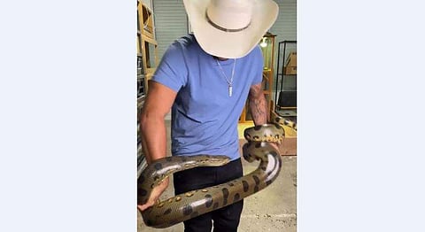 അനാക്കോണ്ട പാമ്പിനെ പൊക്കി പിടിച്ചുനില്‍ക്കുന്ന യുവാവിന്റെ ദൃശ്യം