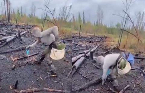 വീഡിയോ സ്‌ക്രീന്‍ഷോട്ട്‌