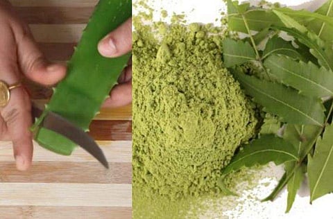 പ്രതീകാത്മക ചിത്രം