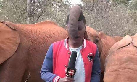 വീഡിയോ ദൃശ്യം