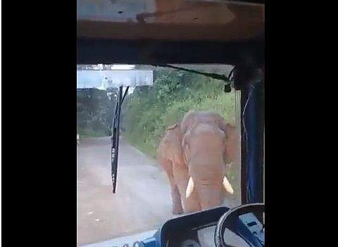 വീഡിയോ സ്‌ക്രീന്‍ഷോട്ട്‌