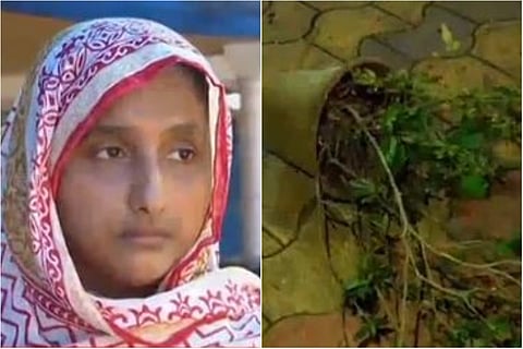 സഫീറ/ ടിവി ദൃശ്യം