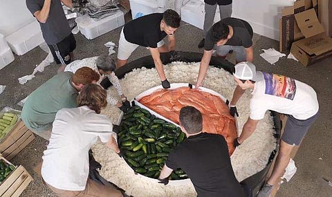 വിഡിയോ സ്ക്രീൻഷോട്ട്