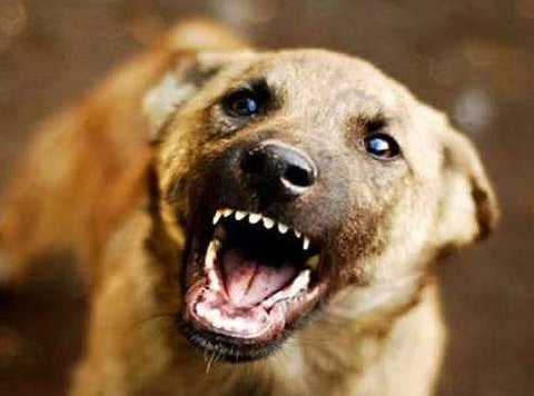 പ്രതീകാത്മക ചിത്രം