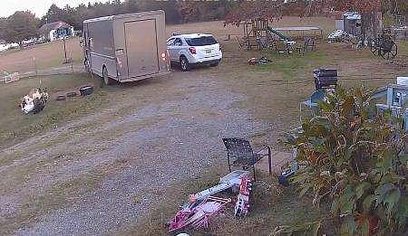 ട്രക്ക് കണ്ട് ആടുകള്‍ കുഴഞ്ഞുവീഴുന്ന ദൃശ്യം