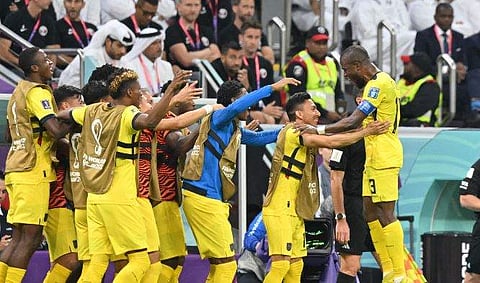 ഗോള്‍ നേടിയ ഇക്വഡോറിന്റെ സന്തോഷ പ്രകടനം, image credit: FIFA World Cup