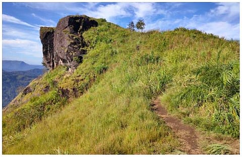 പെട്ടിമുടി ഹില്‍ടോപ്പ്‌