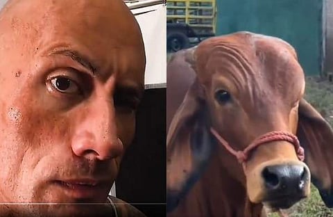 ഡ്വെയിൻ ജോൺസൺ ട്വീറ്റ് ചെയ്ത വിഡിയോ സ്ക്രീൻഷോട്ട്