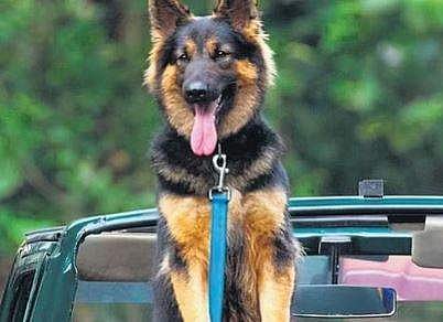 പ്രതീകാത്മക ചിത്രം