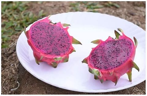 പ്രതീകാത്മക ചിത്രം