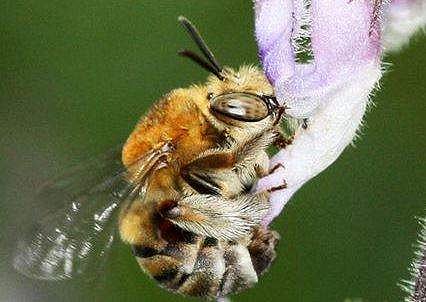 പ്രതീകാത്മക ചിത്രം