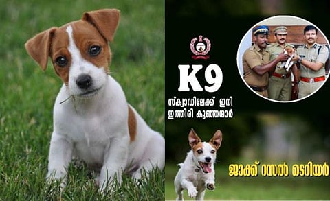 ചിത്രം; ഫേയ്സ്ബുക്ക്