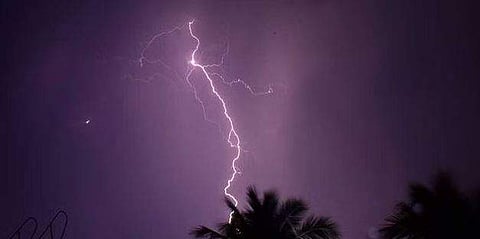 പ്രതീകാത്മക ചിത്രം