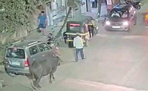 സിസി ടിവി ദൃശ്യം