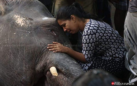 ആനയുടെ വിയോഗത്തില്‍ വിതുമ്പുന്ന സത്രീ/ ഫോട്ടോ ന്യൂ ഇന്ത്യന്‍ എക്‌സ്പ്രസ്
