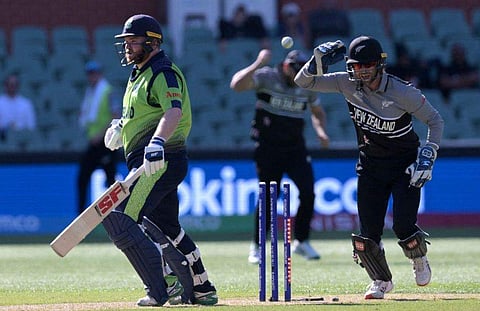 ഫോട്ടോ: എഎഫ്പി