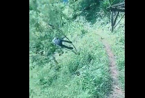 പൂവന്‍ കോഴിയുടെ ആക്രമണത്തില്‍ നിന്ന് രക്ഷപ്പെടാന്‍ ശ്രമിക്കുന്ന യുവാവിന്റെ ദൃശ്യം