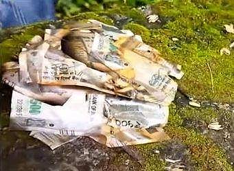 തോട്ടില്‍ നിന്നും ലഭിച്ച നോട്ടുകള്‍/ ടെലിവിഷന്‍ ചിത്രം