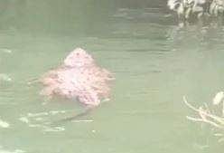 ടെലിവിഷൻ ദൃശ്യം