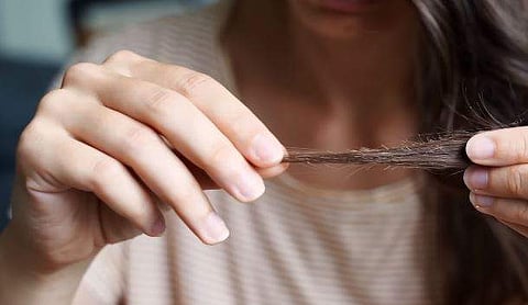 പ്രതീകാത്മക ചിത്രം