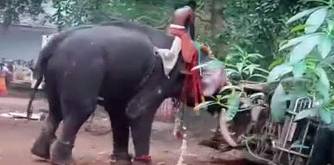 ഇടഞ്ഞ  ആന കാര്‍ കുത്തിമറക്കുന്നതിന്റെ വീഡിയോ ദൃശ്യം