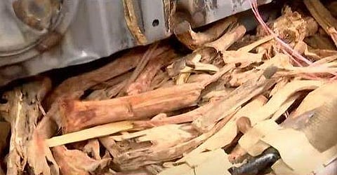 ടെലിവിഷൻ ദൃശ്യം