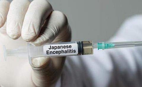 കോഴിക്കോട് പത്ത് വയസുകാരിക്ക് ജപ്പാൻ ജ്വരം; ജില്ലയിൽ ആദ്യം 