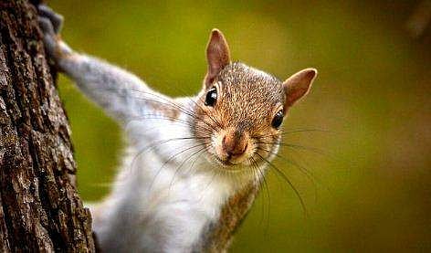 പ്രതീകാത്മക ചിത്രം