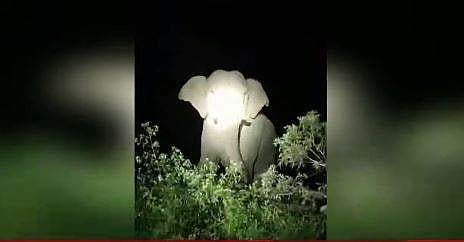 ടെലിവിഷൻ ​ദൃശ്യം